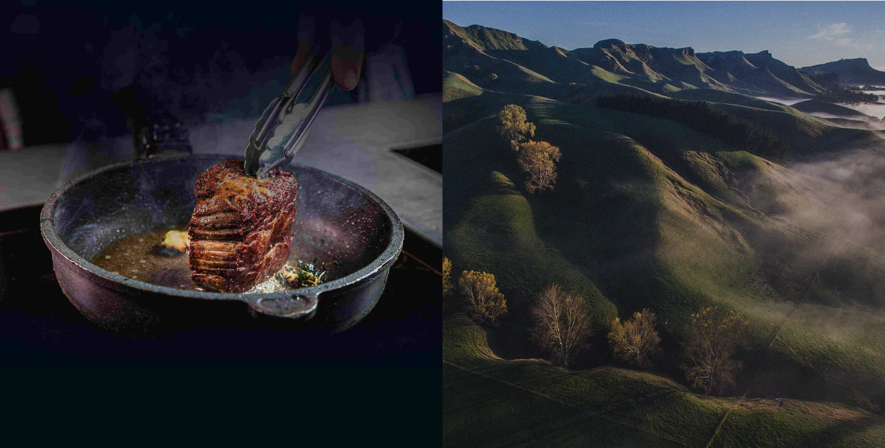 New Zealandβs Finest Grass-Fed Beef